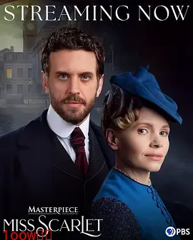 斯嘉丽小姐探案集第六季